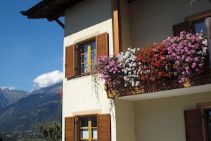 Detalle del exterior