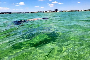 Unclassified image, 4 of 48, button