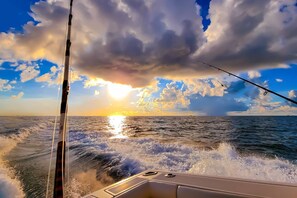 Niet-geclassificeerde afbeelding, 4 van 48, knop