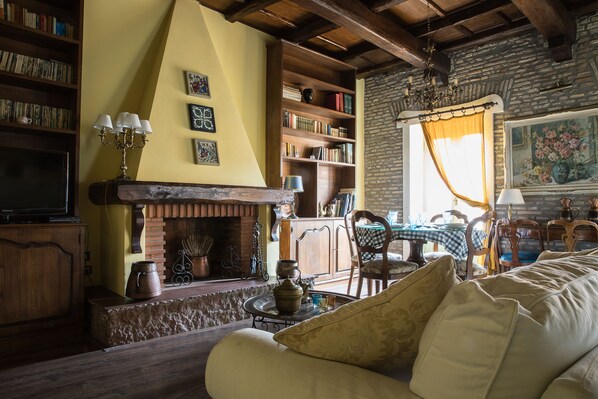 TV, fireplace, books