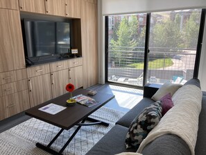 Smart TV, fireplace, video games, books