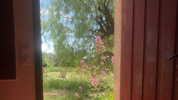 An open doorway leading to a garden with a chair and a wooden door. - Bord de Plage (Le Lavandou)