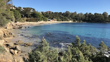 Plage, chaises longues