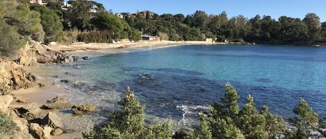 Accommodatie ligt op het strand, ligstoelen