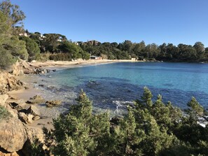 A coastal landscape with clear blue water, rocky shoreline, and dense greenery.