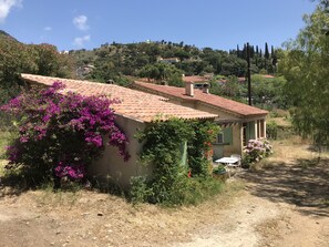 A house with a tiled roof, surrounded by dry grass and flowering plants.