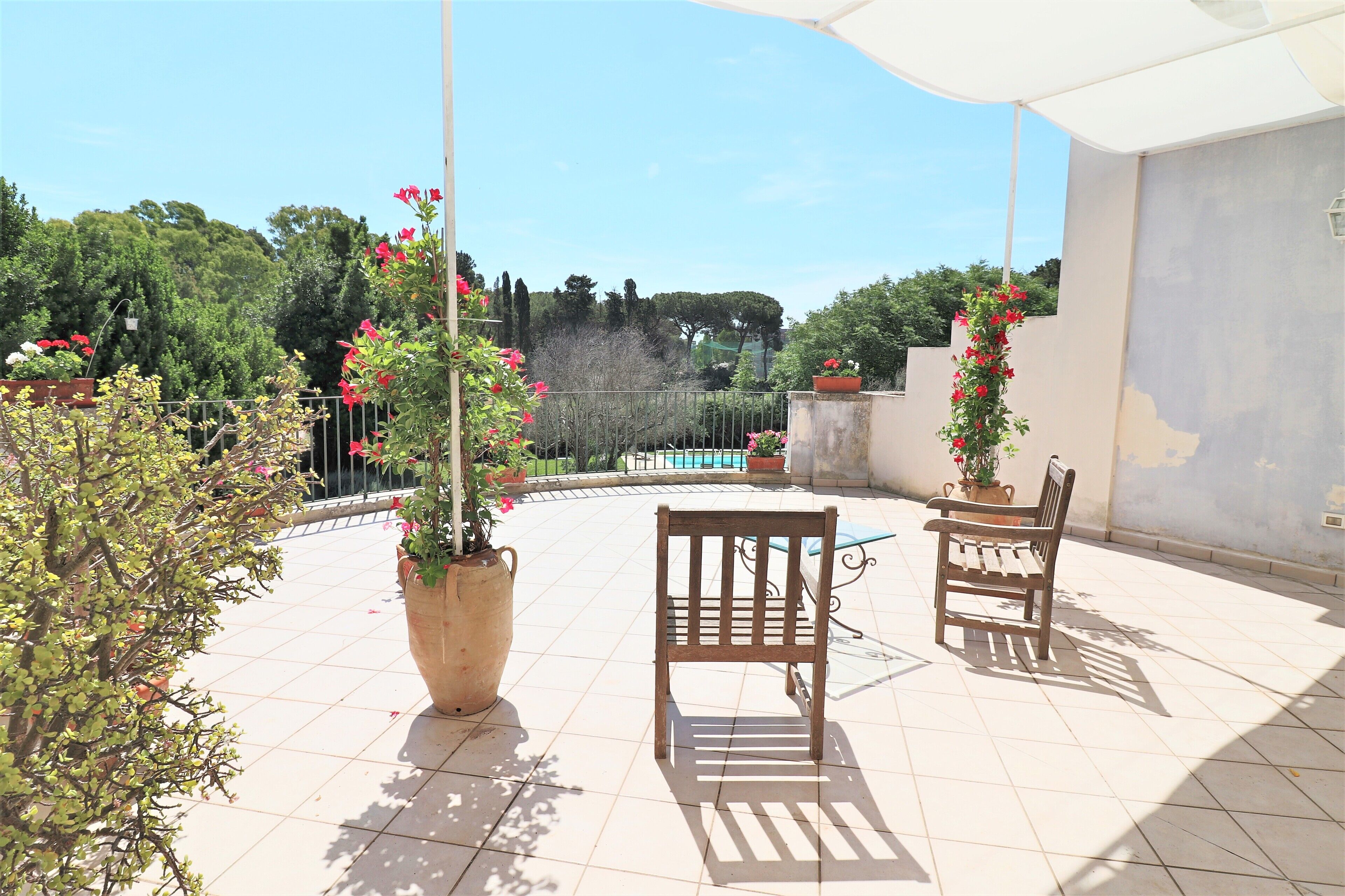 Une terrasse avec deux chaises en bois, une table et des plantes en pot.