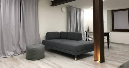 Bright Newly Renovated Apartment Cir Vda Saint-pierre 0014