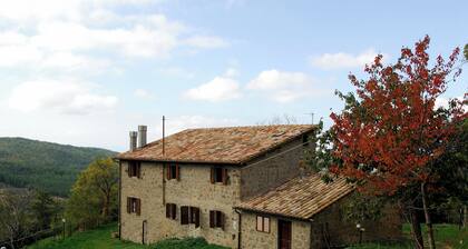 - Agriturismo La Piaggia - Forest View Apartment on the Ground Floor 2 Guests