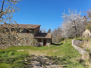 Apartment, 1 Bedroom, Smoking, Fireplace | Exterior - - Agriturismo La Piaggia - Forest View Apartment on the Ground Floor 2 Guests (Castiglione d'Orcia)