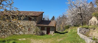 - Agriturismo La Piaggia - Forest View Apartment on the Ground Floor 2 Guests