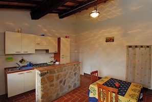 Apartment, 1 Bedroom, Smoking, Fireplace | Dining room - - Agriturismo La Piaggia - Forest View Apartment on the Ground Floor 2 Guests (Castiglione d'Orcia)