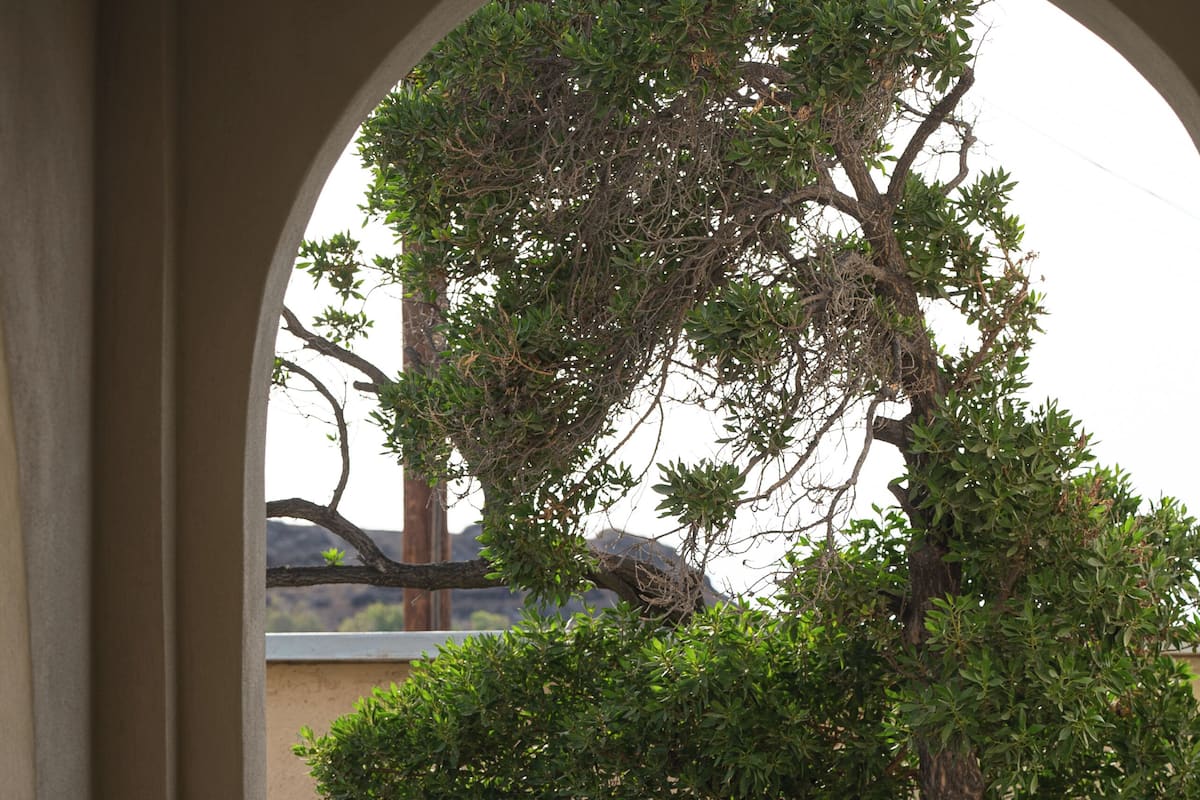 A balcony with two wicker chairs and a small round table, overlooking a tree and a building.