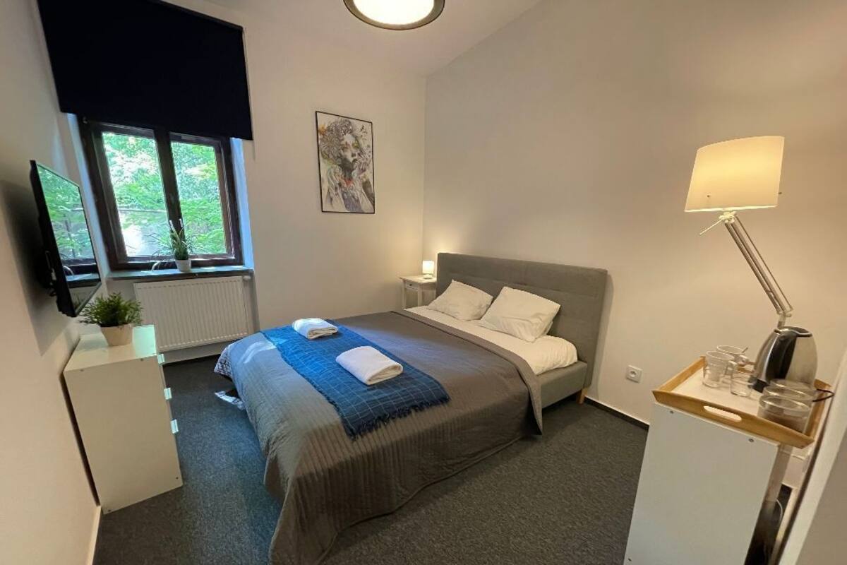 A hotel room with a bed, a bedside table, a lamp, a TV, and a window with a view of greenery.
