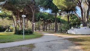 Ein Weg, der durch einen Park mit Bäumen und einer weißen Mauer an der rechten Seite führt.