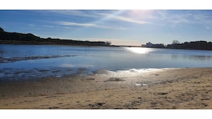 Ein Flussufer mit Sandstrand und ruhiger Fluss.