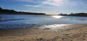 A riverbank with a sandy beach and a calm river.