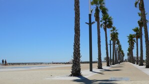 Een boulevard langs het strand, omzoomd door palmbomen, met een zandstrand en een helderblauwe lucht.