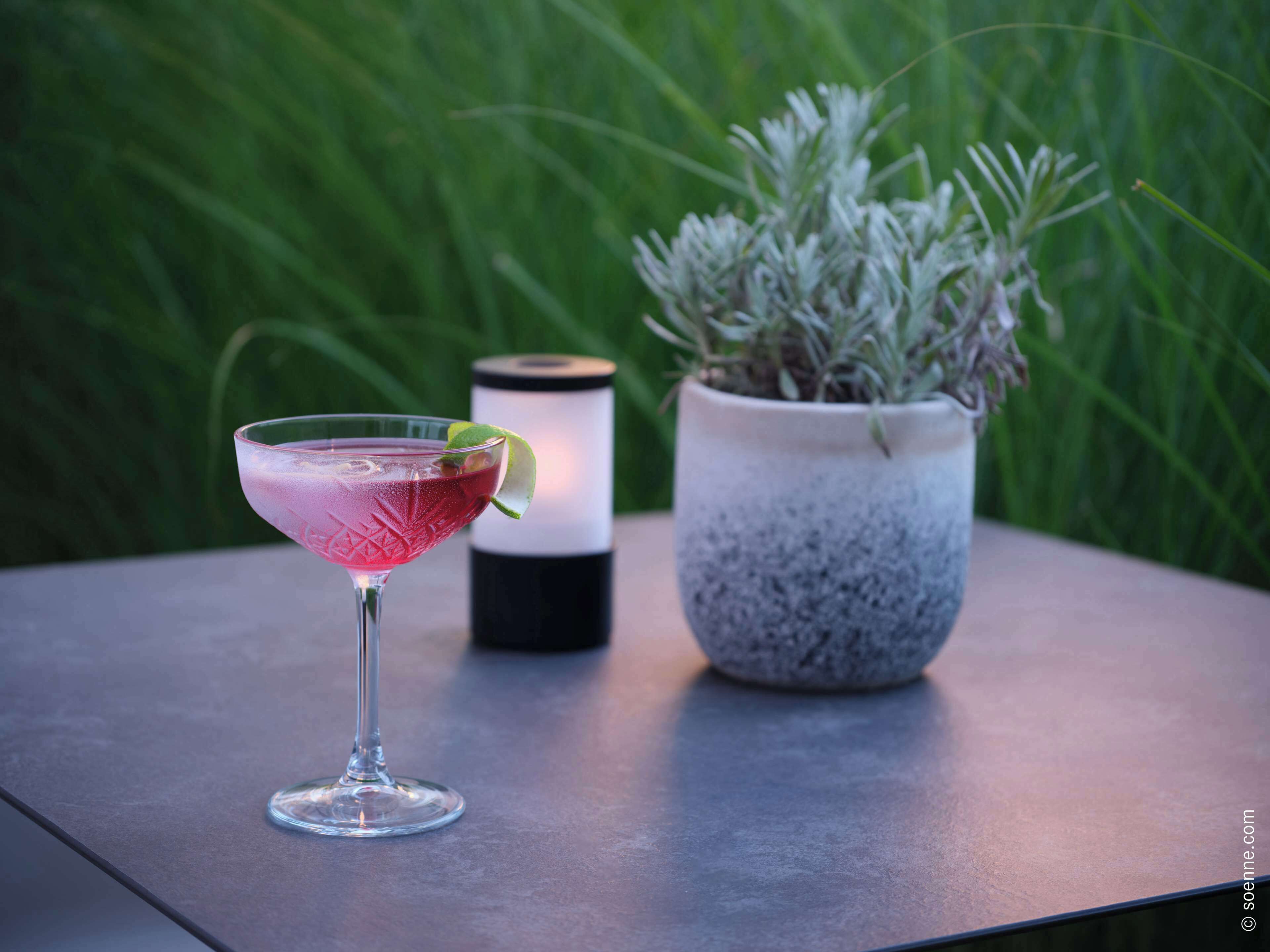 A martini glass with a lime garnish on a table, a potted plant, and a candle.
