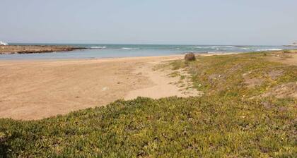 The Starfish House 2