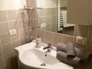Regadera, secadora de cabello, bidet, toallas 