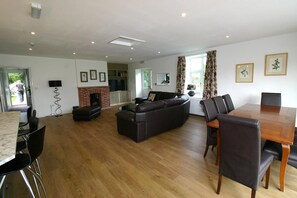 Smart TV, fireplace, books