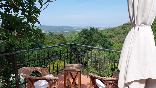 Une terrasse dotée de meubles en osier et offrant une vue sur un paysage verdoyant.