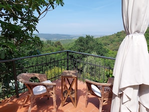 Eine Terrasse mit Korbmöbeln und Blick auf eine grüne Landschaft.