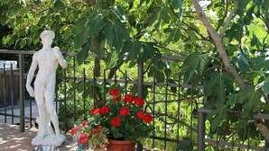 Une statue blanche représentant un homme, placée sur un piédestal, un pot de fleurs avec des fleurs rouges et une clôture métallique, le tout dans un jardin.
