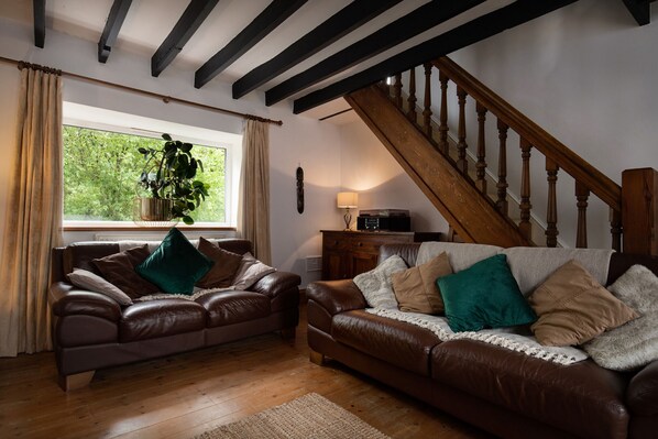 TV, fireplace, DVD player