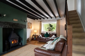TV, fireplace, DVD player