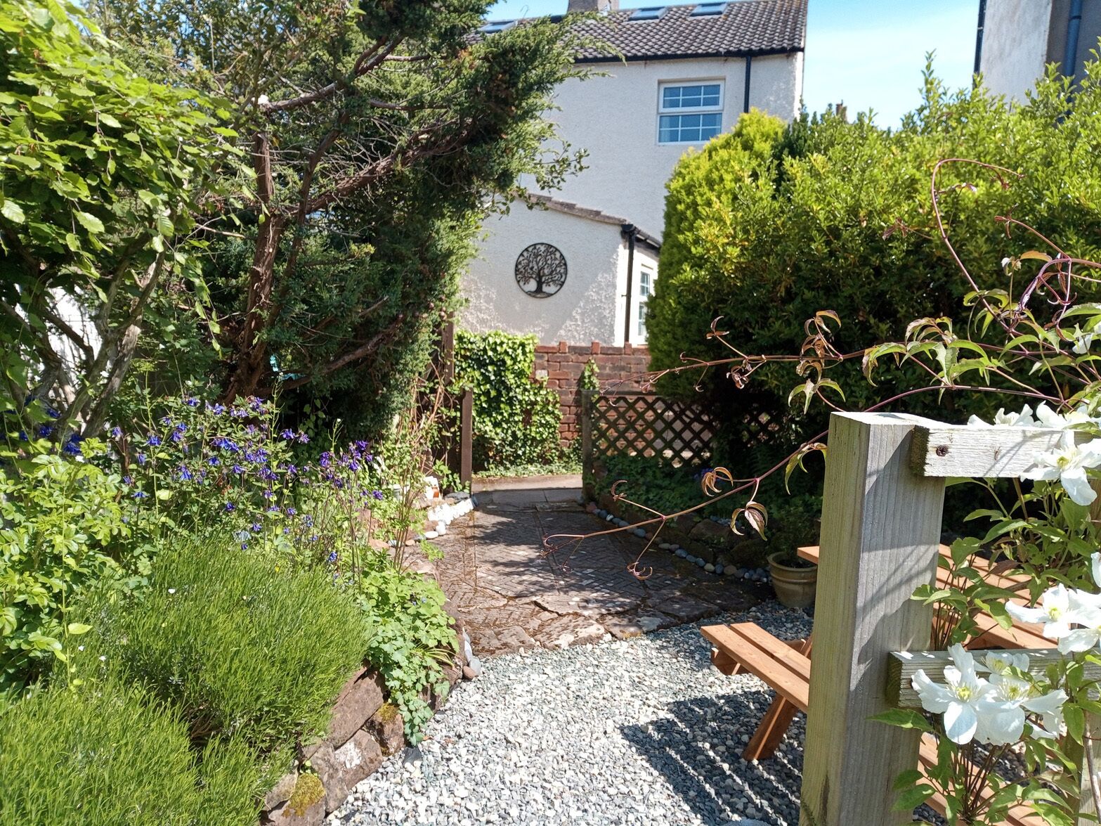 Un jardin avec un chemin de gravier, un banc en bois et diverses plantes.