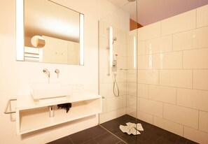 Regadera, secadora de cabello, papel de baño 