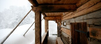 1154 Natali`s Studio 54 im Bonawinkel