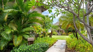 A lush garden with palm trees and tropical plants, a concrete pathway, and a building with a balcony.