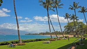 A tropical resort with a clear view of the ocean, palm trees, and a well-maintained lawn with lounge chairs.