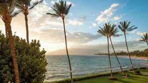 A coastal view with palm trees and a well-maintained lawn.