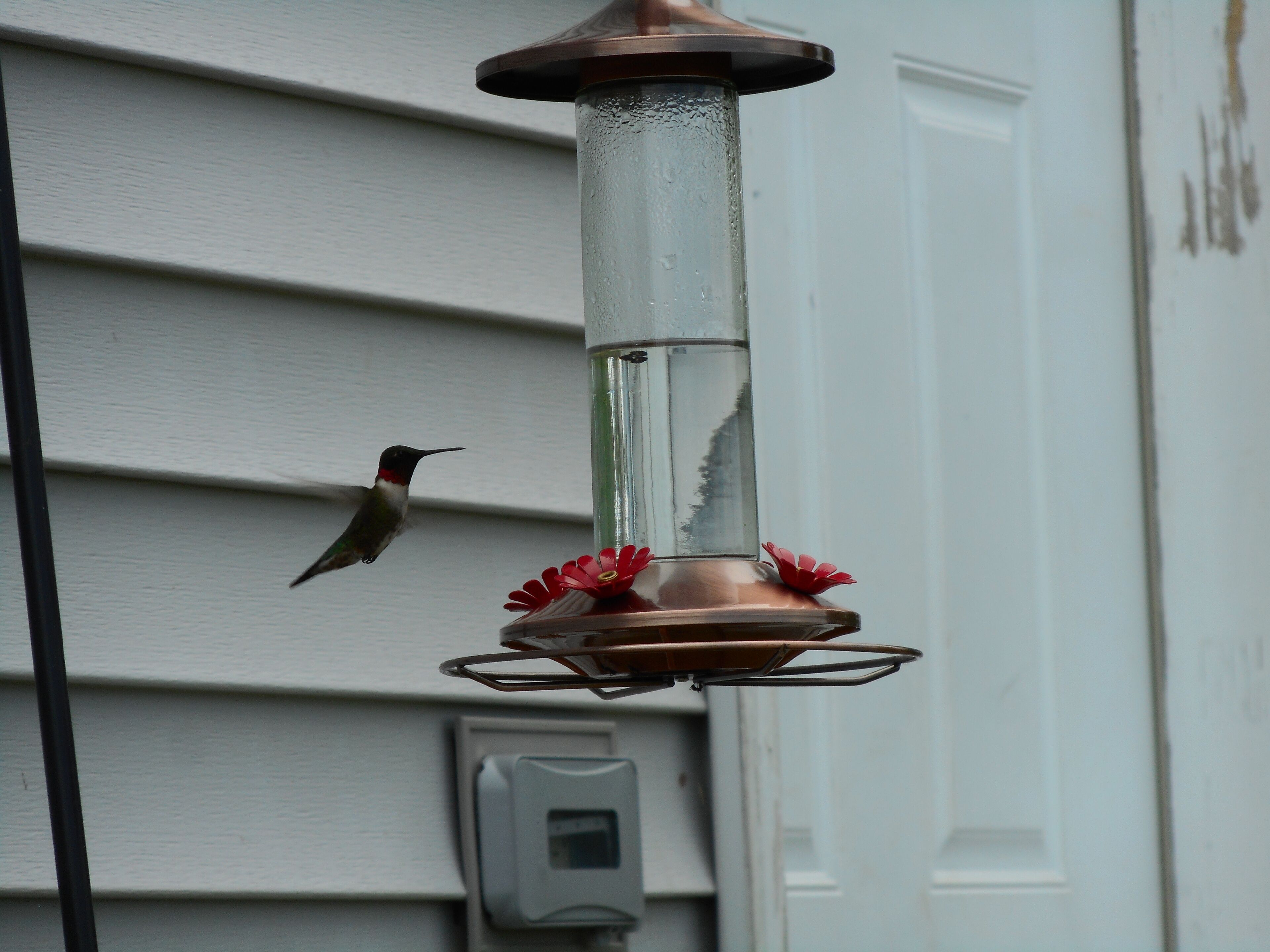 A bird feeder attached to a house exterior.