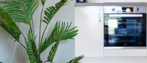 Classic Apartment | Private kitchen | Full-size fridge, microwave, oven, stovetop