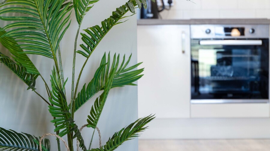 Old Prestwick View - Donnini Apartments