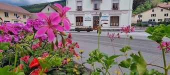 Gite Fougere