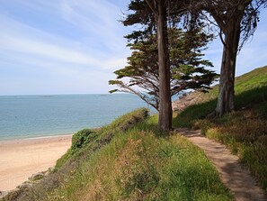 Beach - Le Rocher Cordier (Bonnemain)