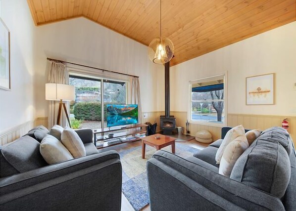 TV, fireplace - AVC - Birch Cottage, Bright (Bright)