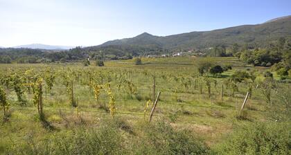 Villa 290 Luxurious Reconverted Farmhouses w/ Pool