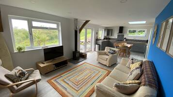 智能電視、壁爐、電子遊戲、Netflix