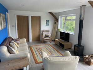 Smart TV, fireplace, video games, Netflix