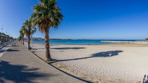 Una playa con un paseo pavimentado, palmeras y un cielo azul despejado.