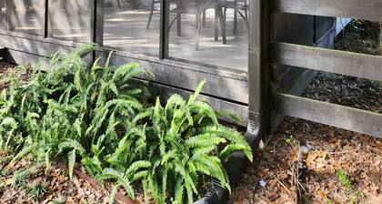 Pine Forest Studio, serene winding lane to cozy retreat.