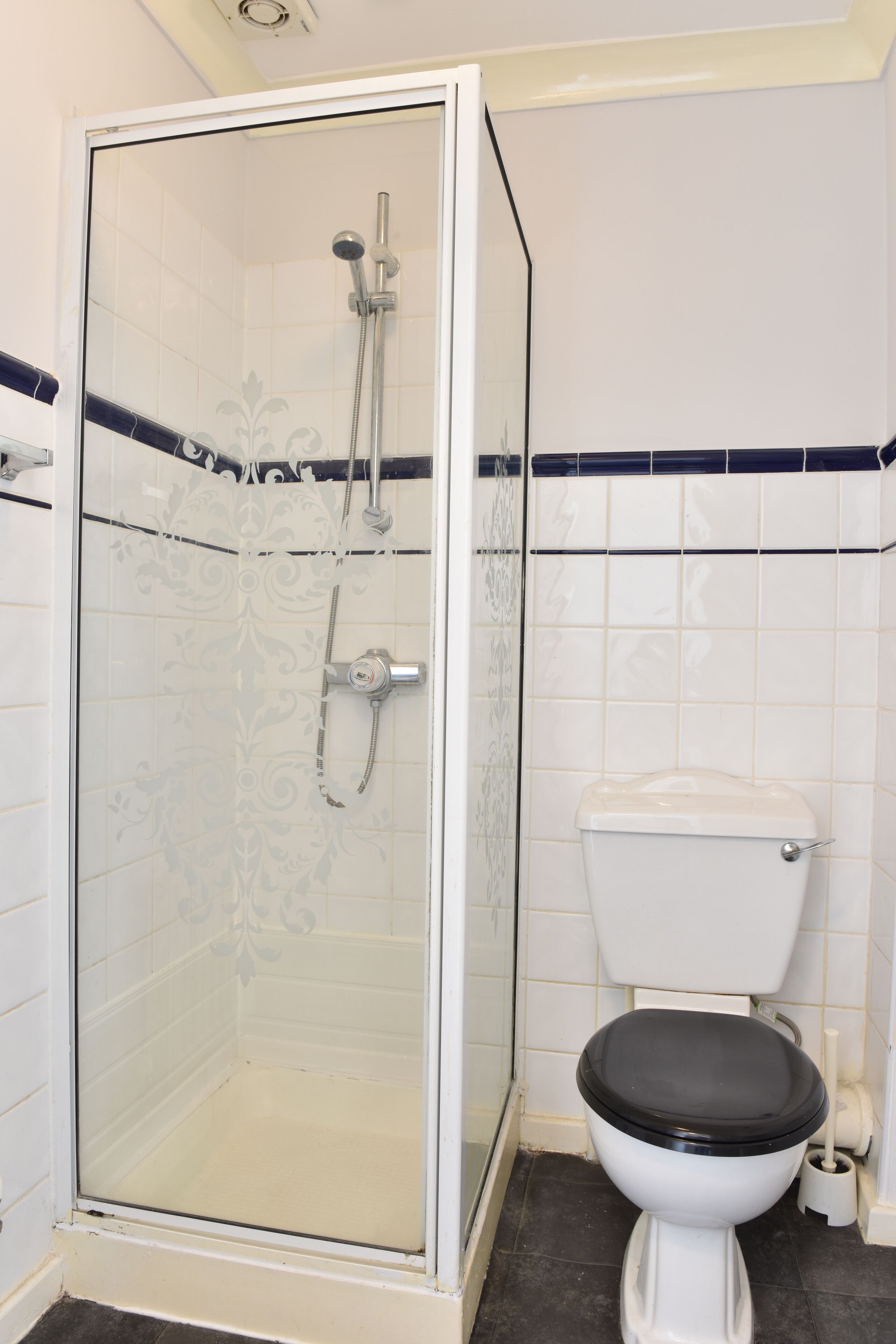 shower, free toiletries, hair dryer, soap