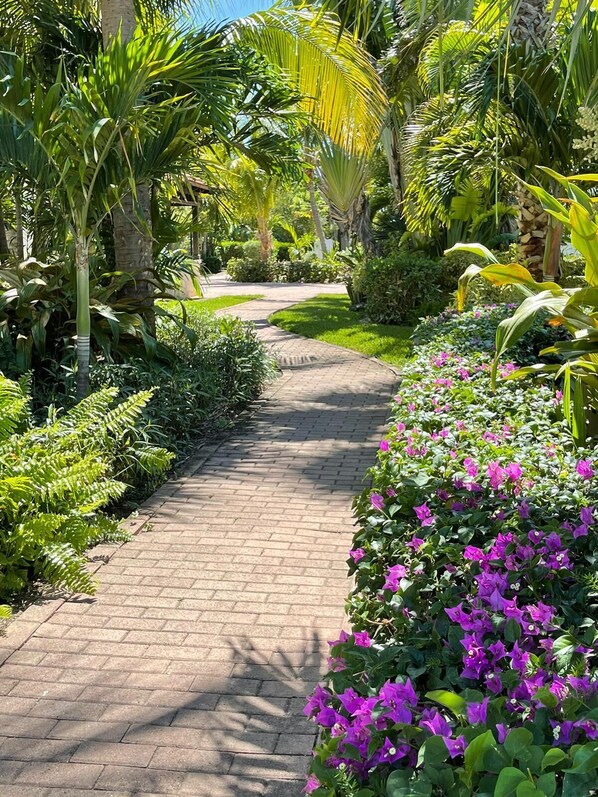 Jardines del alojamiento